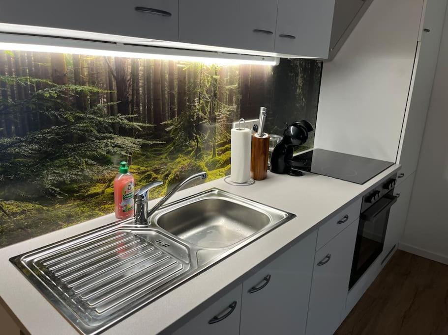 Gemuetliches 4Er Apartment In Skilift-Naehe 젤암제 외부 사진