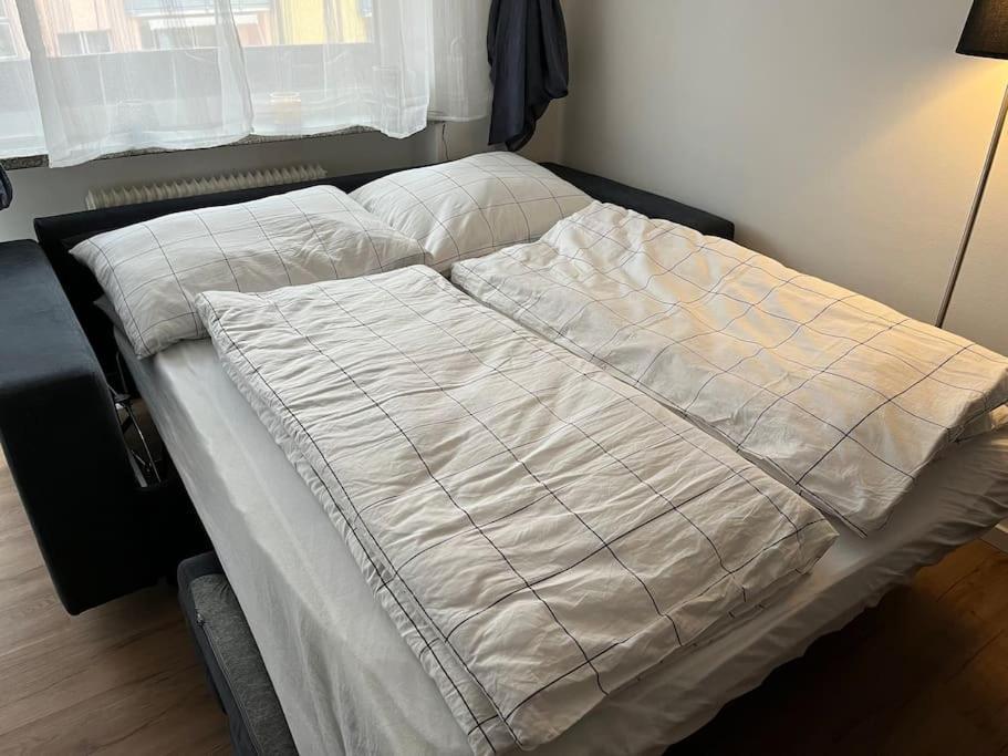 Gemuetliches 4Er Apartment In Skilift-Naehe 젤암제 외부 사진